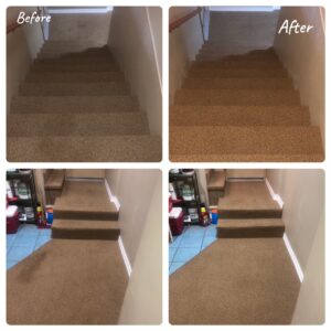 Carpet Cleaning Stairs Before and After
