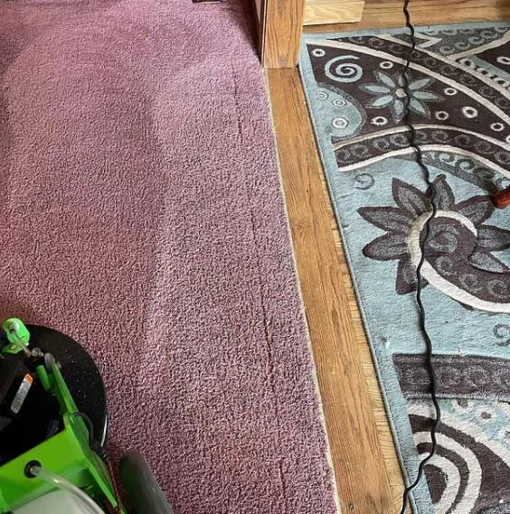 Minocqua Carpet Cleaning
