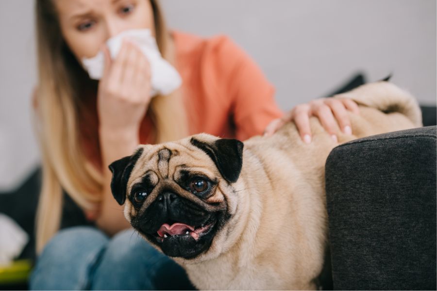 natural-home-remedies-to-remove-pet-odor-fast